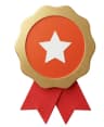 Gold Award Medal